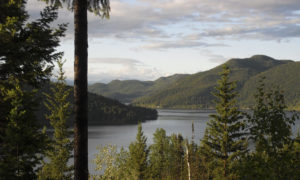 Canim Lake Resort – a lakeside resort in the heart of the Cariboo ...